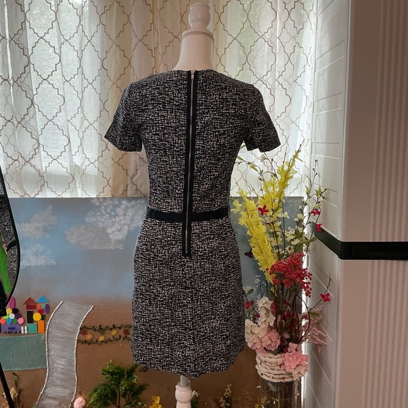 Elegant Black and White Pencil Skirt - Picture 5 of 6